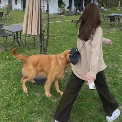 喧闹一家亲第一季